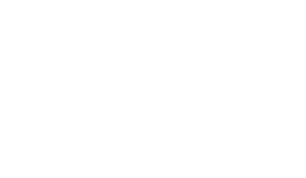 MDRX rifle silhouette