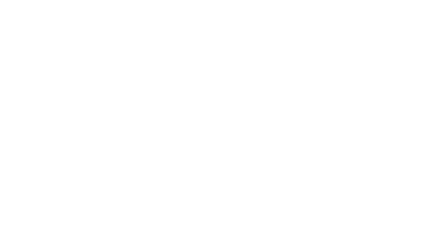 QUATTRO-15 rifle silhouette